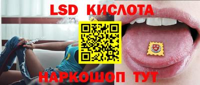 шишки Владимир