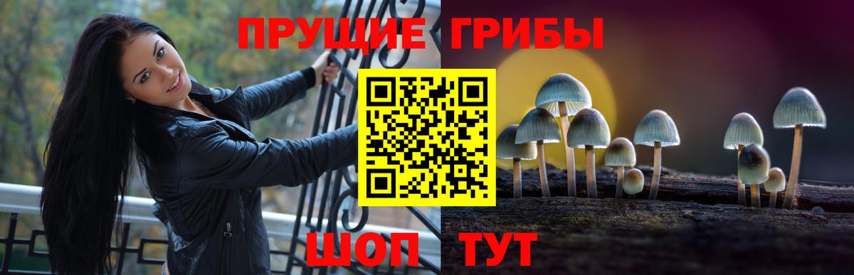 Амурск  где можно купить наркотик  Вход с VPN  Галлюциногенные грибы мухоморы 